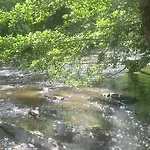 Campsite Les Berges Du Cele