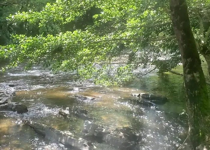 Camping Les Berges Du Cele